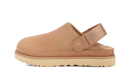 UGG GOLDENSTAR CLOG DRIFTWOOD | כפכפי אגג